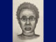Lake Arlington suspect composite sketch (SOURCE: Arlington Heights Police Department)