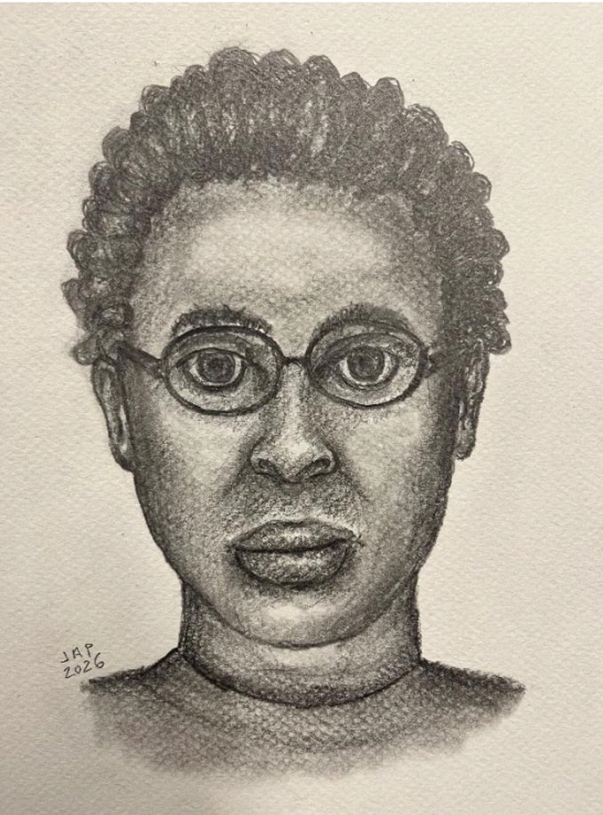 Lake Arlington suspect  composite sketch (SOURCE: Arlington Heights Police Department)