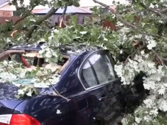 Downed tree on a blue BMW in Streamwood, Illinois on Wednesday evening June 24, 2026 (CapturedNews)