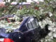 Downed tree on a blue BMW in Streamwood, Illinois on Wednesday evening June 24, 2026 (CapturedNews)