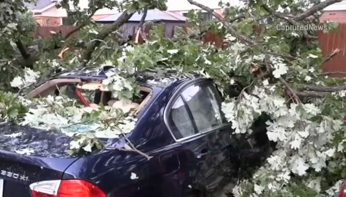 Downed tree on a blue BMW in Streamwood, Illinois on Wednesday evening June 24, 2026 (CapturedNews)