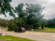 Tree down across Euclid Avenue east of Dryden Avenue after a thunderstorm passed through Arlington Heights around 11:30 a.m. Monday, July 27, 2026 (CARDINAL NEWS/provided photo).