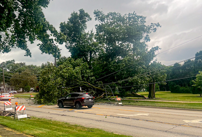 Tree down across Euclid Avenue east of Dryden Avenue after a thunderstorm passed through Arlington Heights around 11:30 a.m. Monday, July 27, 2026 (CARDINAL NEWS/provided photo).