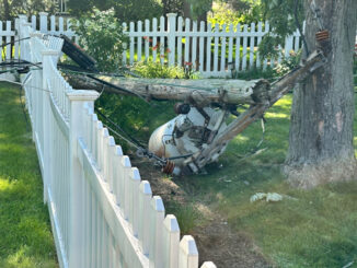One of two old backyard utility poles that collapsed in backyards in the block of 700 North Douglas Avenue in Arlington Heights Tuesday afternoon, July 14, 2026 (CARDINAL NEWS)