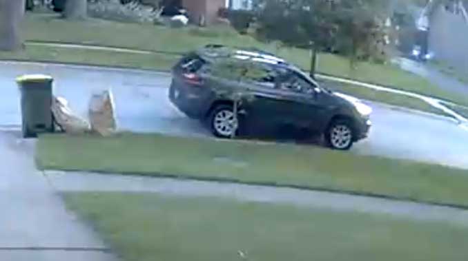 Vehicle Burglar Trespasser suspect's vehicle on Vermont Street in Rolling Meadows about 5:11 a.m. Monday, July 13, 2026 (PROVIDED IMAGE)